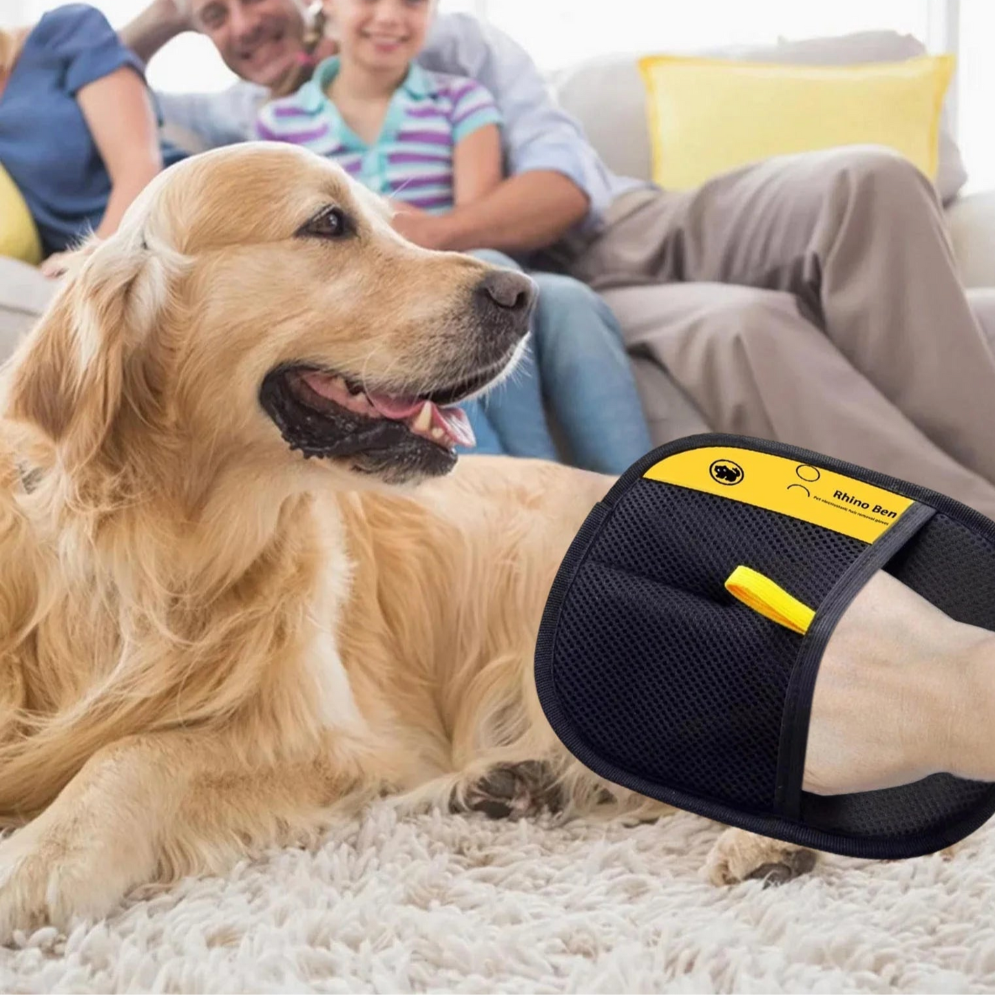 Removal Gloves for Pet Hair